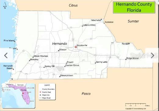 7338 Treiman Boulevard Webster, FL 33597 - Photo 5 of 8 a picture of a park