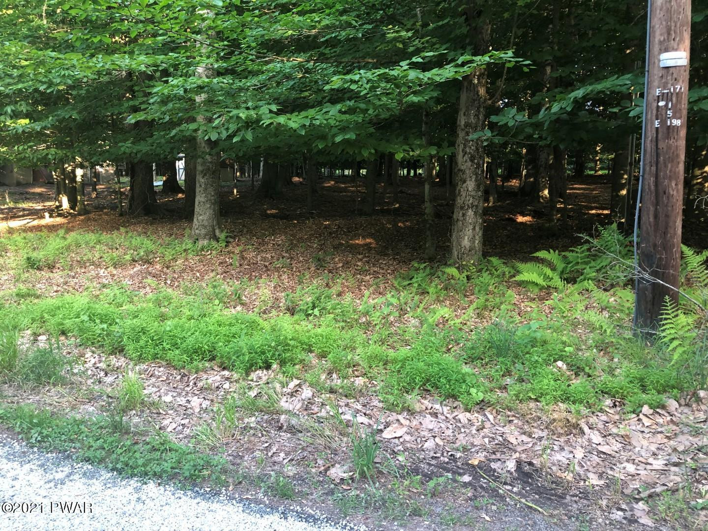 26 Deer Valley Road Lake Ariel, PA 18436 - Photo 5 of 11