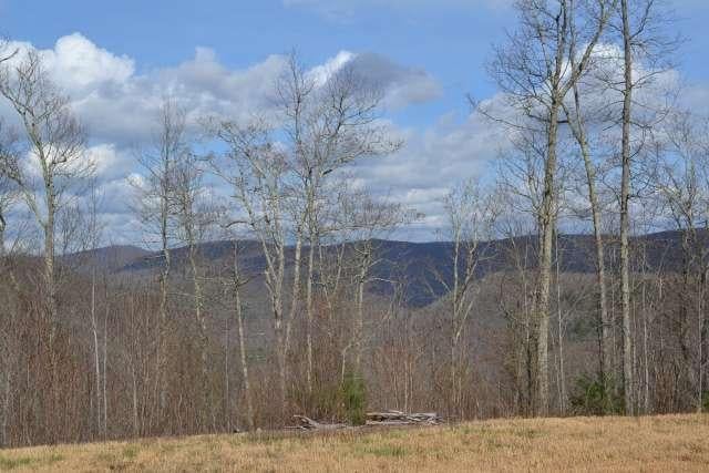 204 Brush Road Lewisburg, WV 24901 - Photo 20 of 60 Gallery Image 20