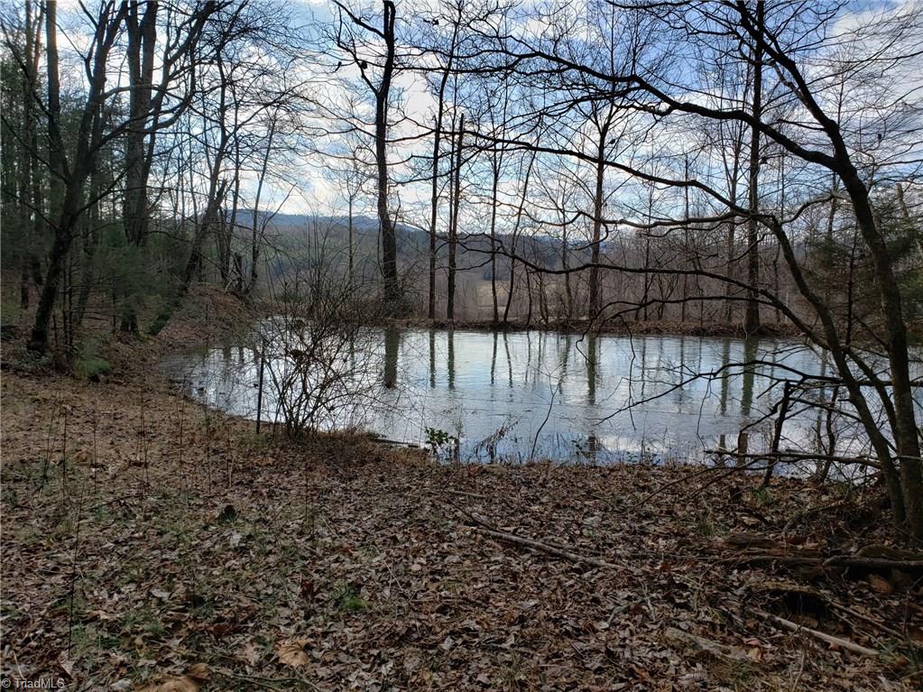 50-ac 50-ac Haystack Road Dobson, NC 27017 - Photo 3 of 10 Gallery Image 3