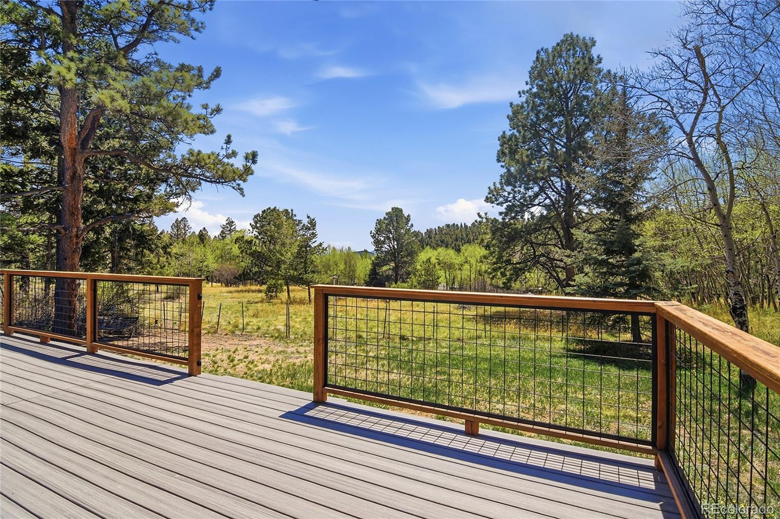 31280 Florence Road Conifer, CO 80433 - Photo 29 of 41