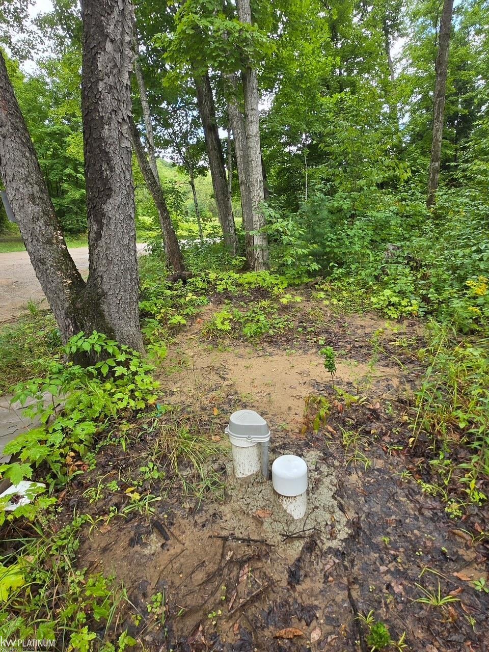 1216 Bundy Road Mancelona, MI 49659 - Photo 13 of 22 Gallery Image 13