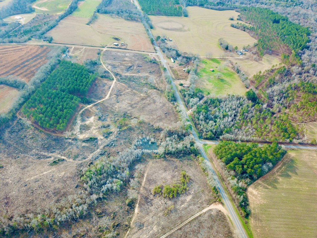 20-acres Hudson Road Columbia, AL 36319 - Photo 17 of 40