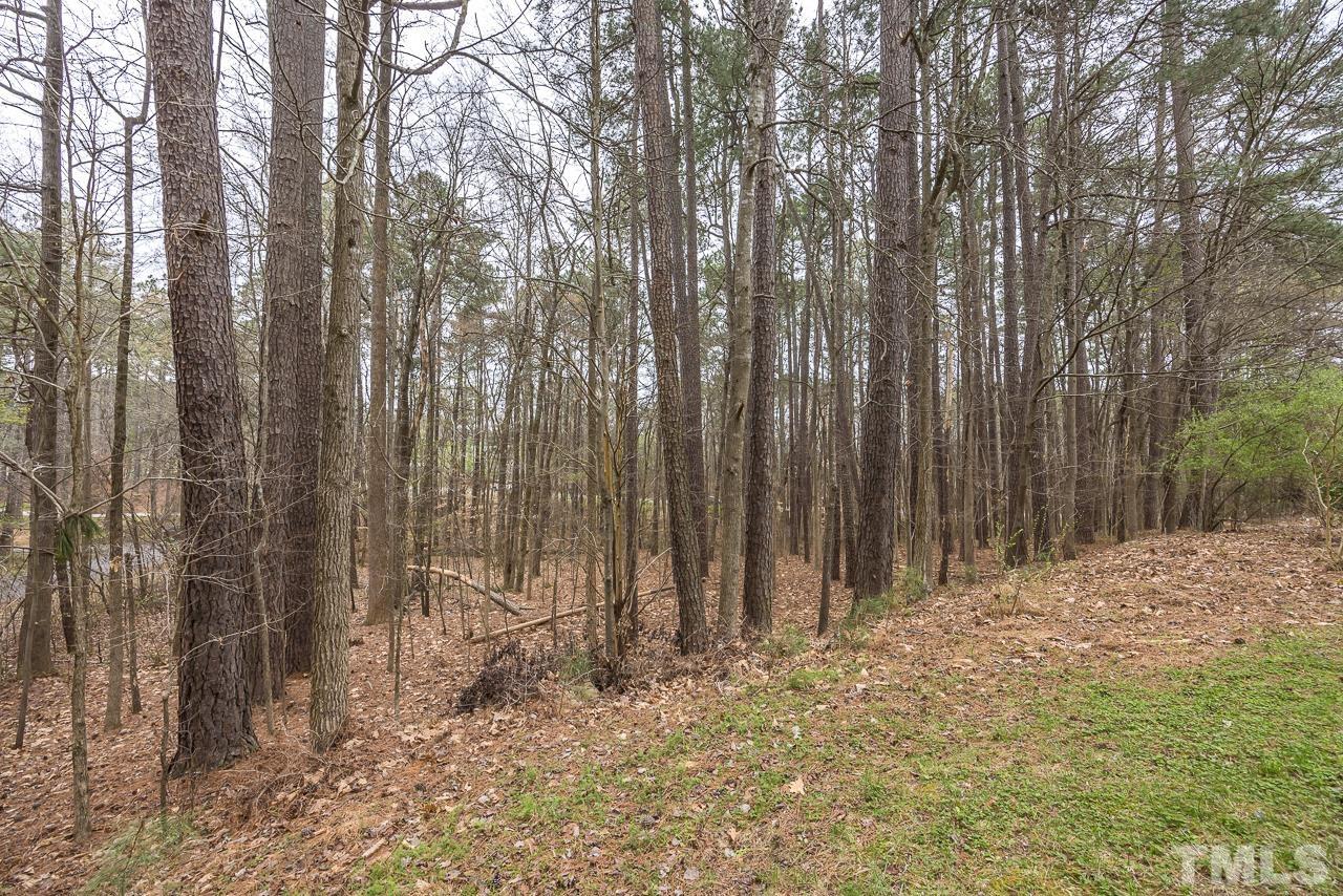 10001 Sycamore Road Raleigh, NC 27613 - Photo 41 of 41