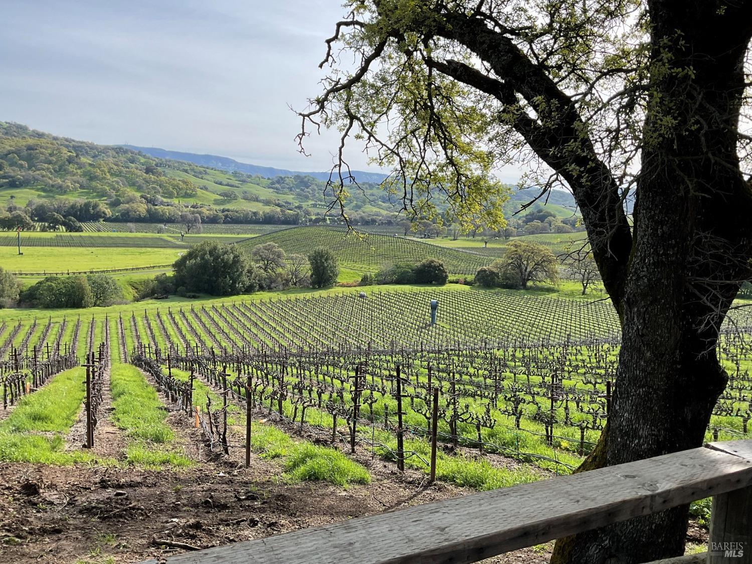 4060 Monticello Road Napa, CA 94558 - Photo 4 of 54