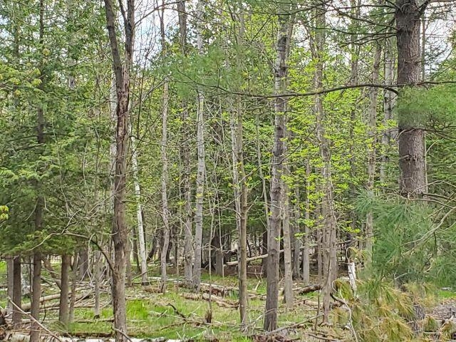 44 Rolling Hills Road West Branch, MI 48661 - Photo 8 of 8