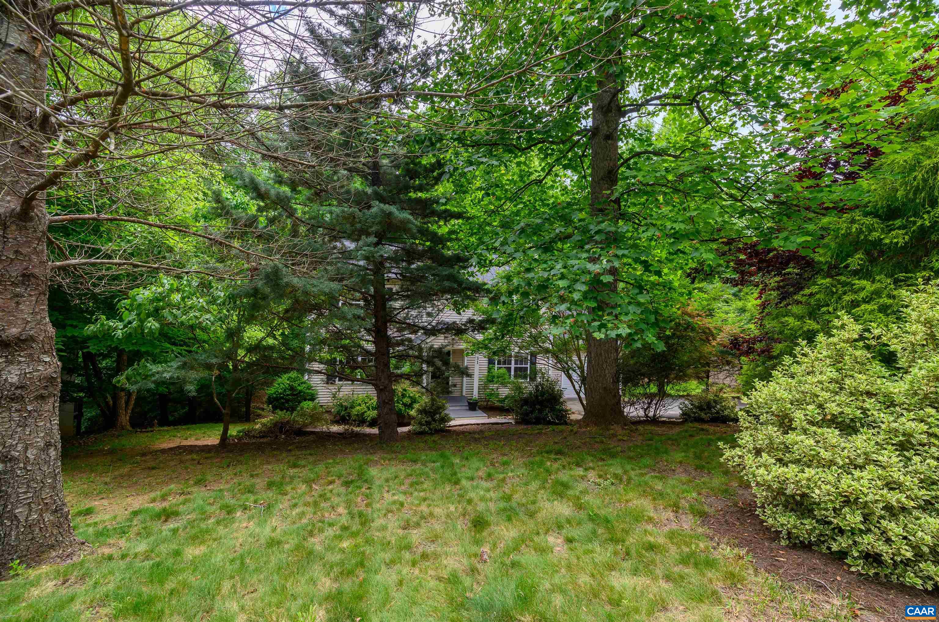 31 Zephyr Road Palmyra, VA 22963 - Photo 34 of 44 a view of a tree in a yard