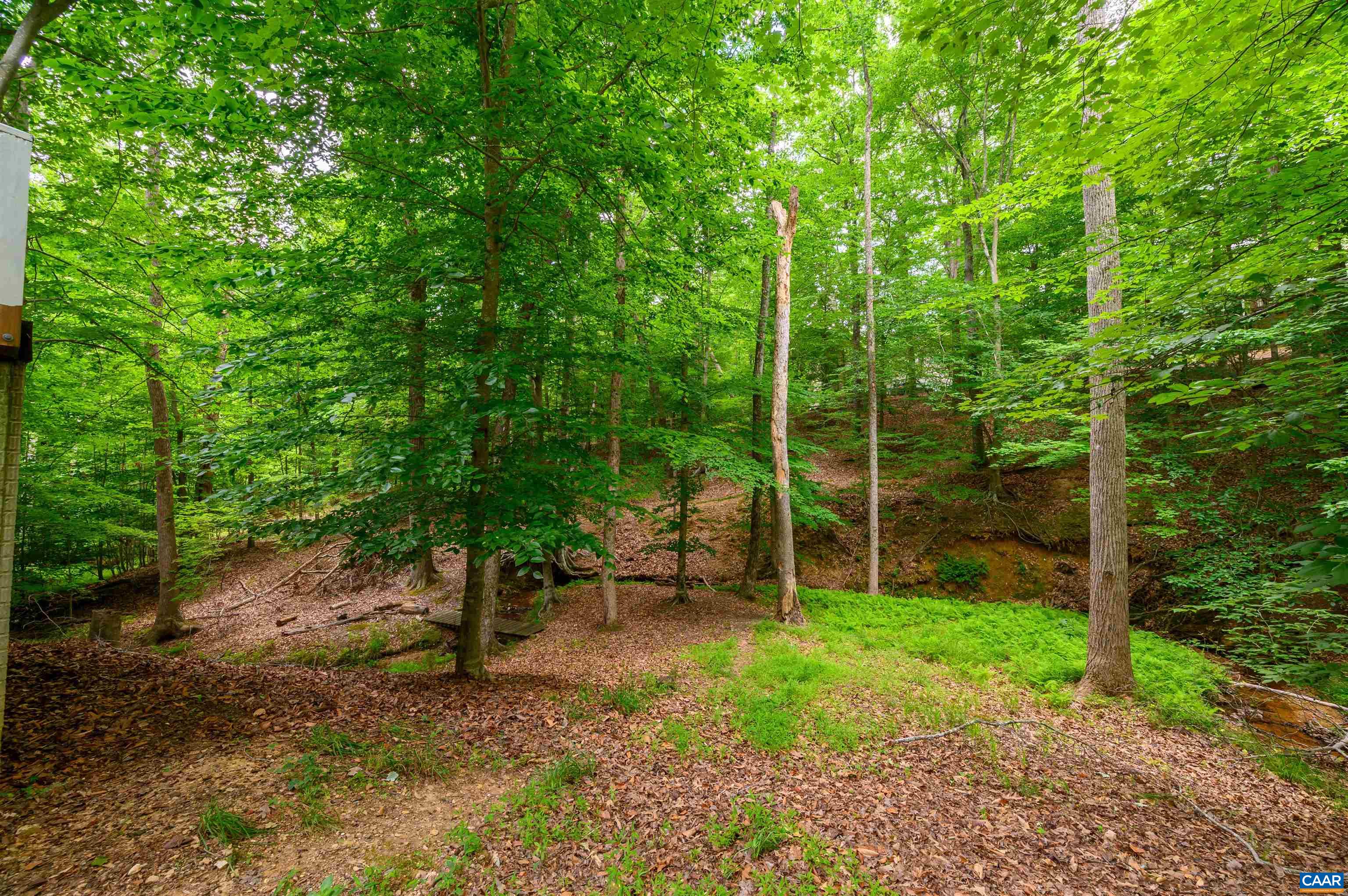 31 Zephyr Road Palmyra, VA 22963 - Photo 10 of 44 a view of a yard with a tree