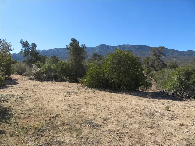 a view of a dry yard