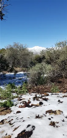 a view of a backyard of a house with a mountain