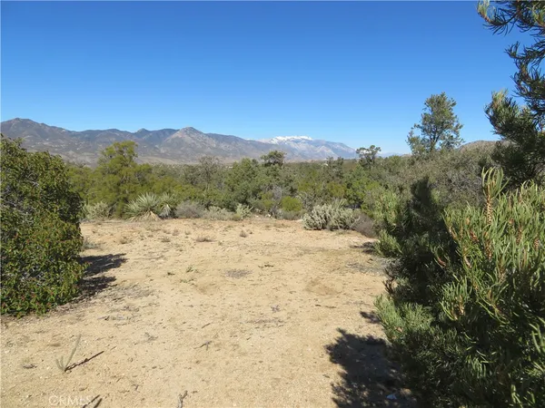 a view of a dry yard with mountains in the background