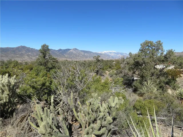 a view of a mountain range with trees in the background