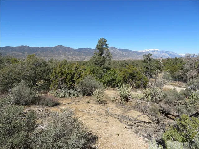 a view of a dry yard with mountains in the background