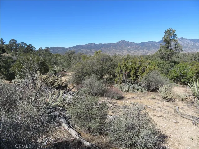 a view of a dry field