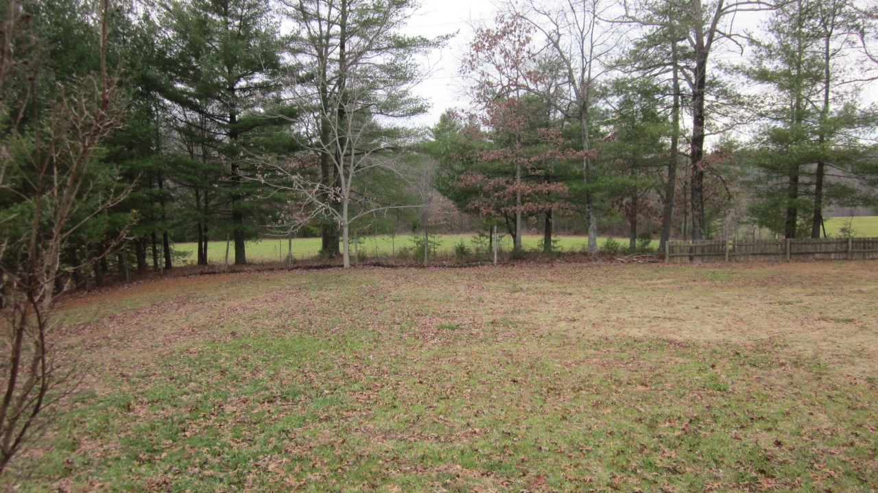 595 Briar Ridge Road Henry, VA 24102 - Photo 8 of 18 Backyard