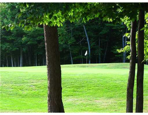 1755 Ridge Road Standish, ME 04084 - Photo 18 of 18 Exterior Front. 9th green on Golf course