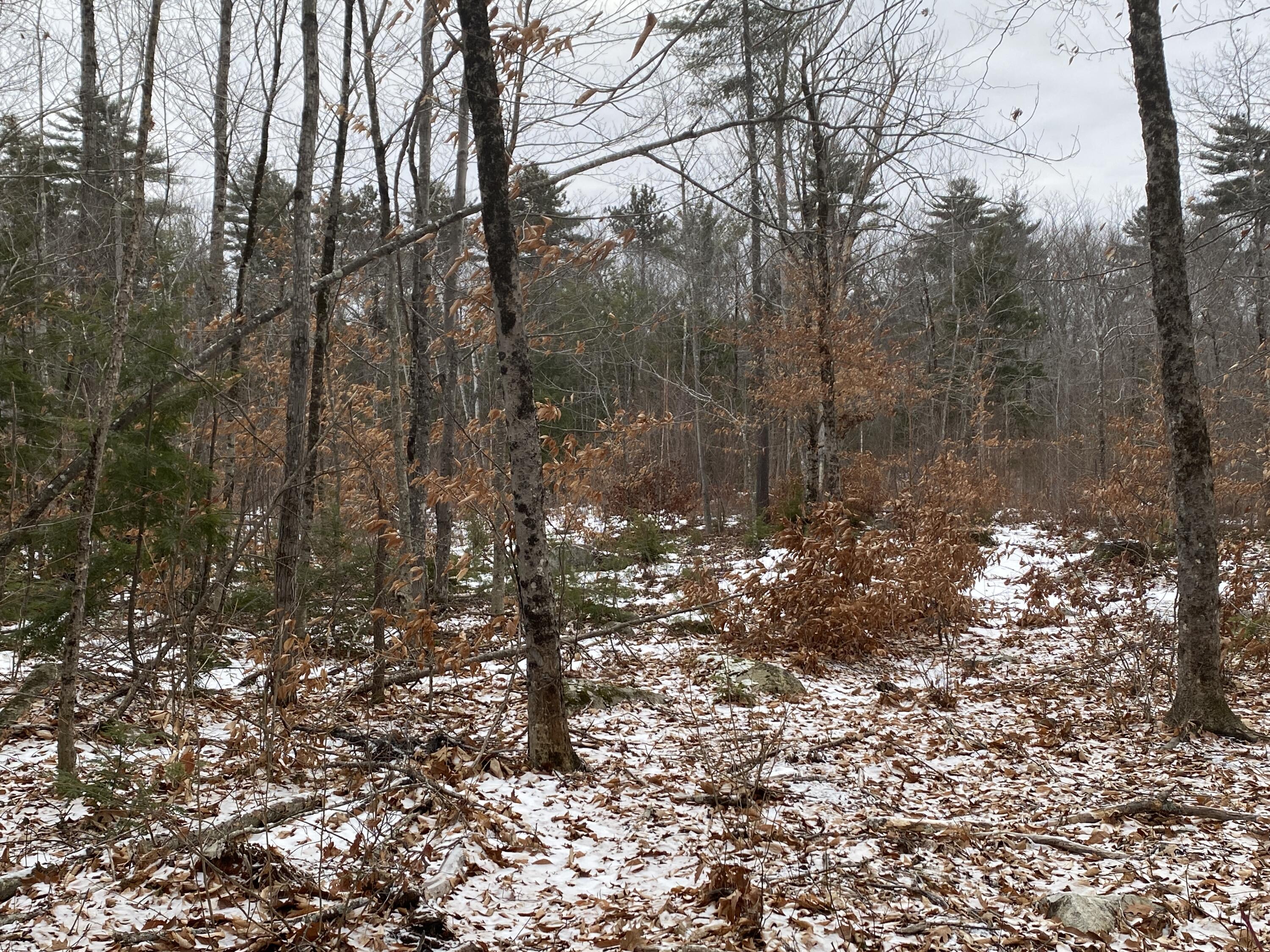 25-l 56c Red Oaks Lodge Road Belgrade, ME 04917 - Photo 4 of 7 IMG_0405