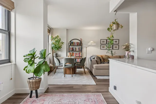 a living room with furniture a potted plant and a rug