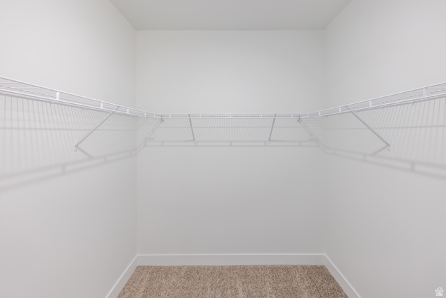 4727 South 690th West, Unit W202 Mapleton, UT 84664 - Photo 12 of 16 U-shaped closet featuring white wire shelving and neutral-toned carpeting