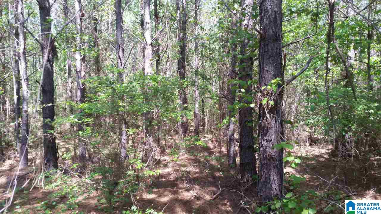 3582 County Road 8, Unit 1 Clanton, AL 35046 - Photo 10 of 13