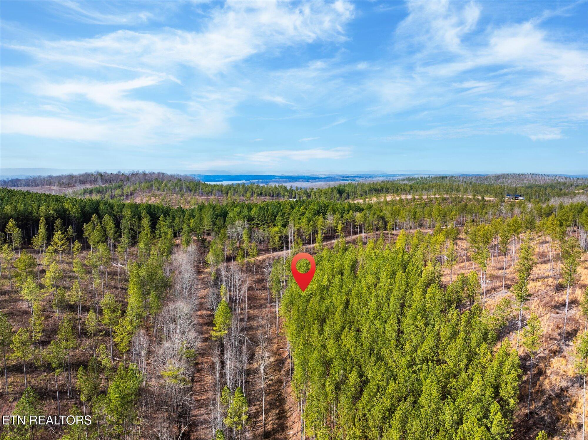 0 Prigmore Ridge Road Decatur, TN 37322 - Photo 7 of 16 11-Lot-1-6-Prigmore-Ridge-Rd-Decatur-TN