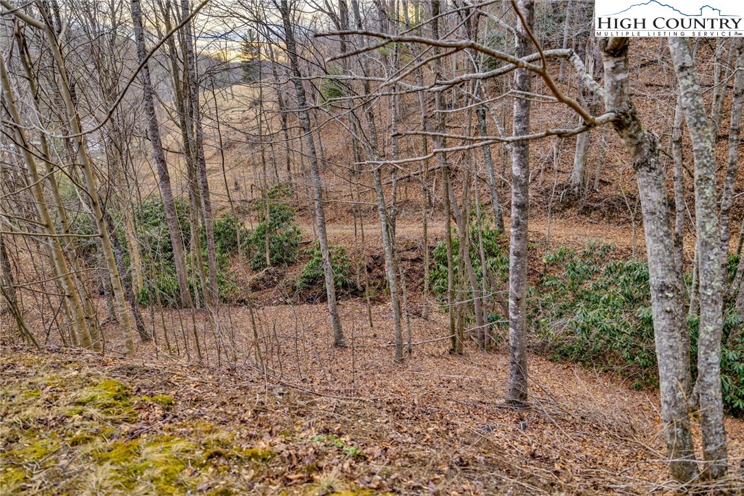 157 Noahs Ridge Fleetwood, NC 28626 - Photo 49 of 50