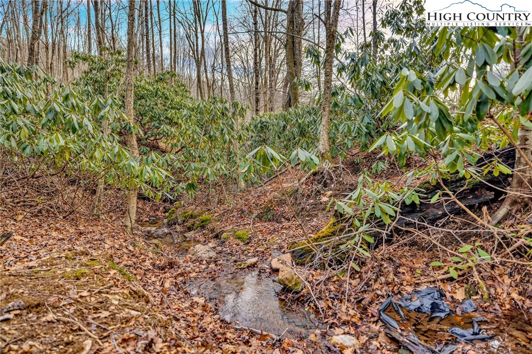 157 Noahs Ridge Fleetwood, NC 28626 - Photo 50 of 50