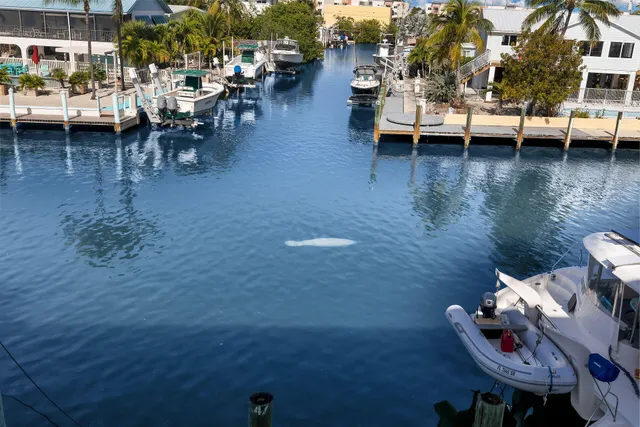 $465,000 | 21 Sombrero Boulevard, Unit 307, Marathon, FL 33050