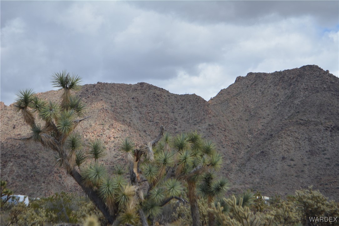 11900 Alan Road Yucca, AZ 86438 - Photo 76 of 99 Gallery Image 76