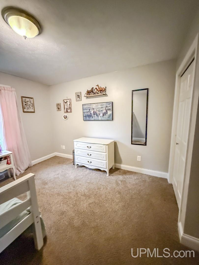 1055 Highland Drive Ishpeming, MI 49849 - Photo 29 of 75