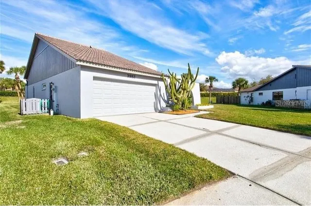 a view of a backyard with plants and palm trees