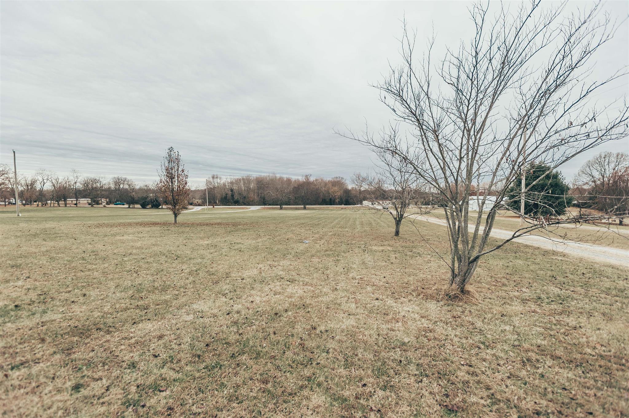 2920 Academy Road Portland, TN 37148 - Photo 3 of 26