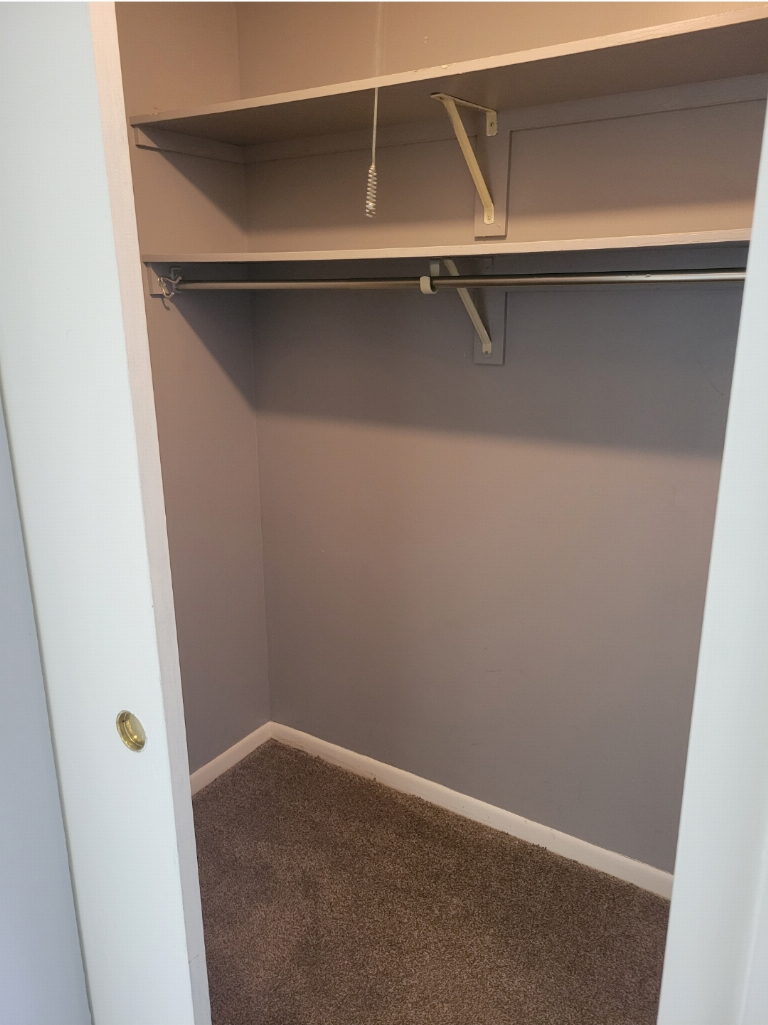 5415 North Sheridan Road, Unit 609 Chicago, IL 60640 - Photo 17 of 25 a close view of closet