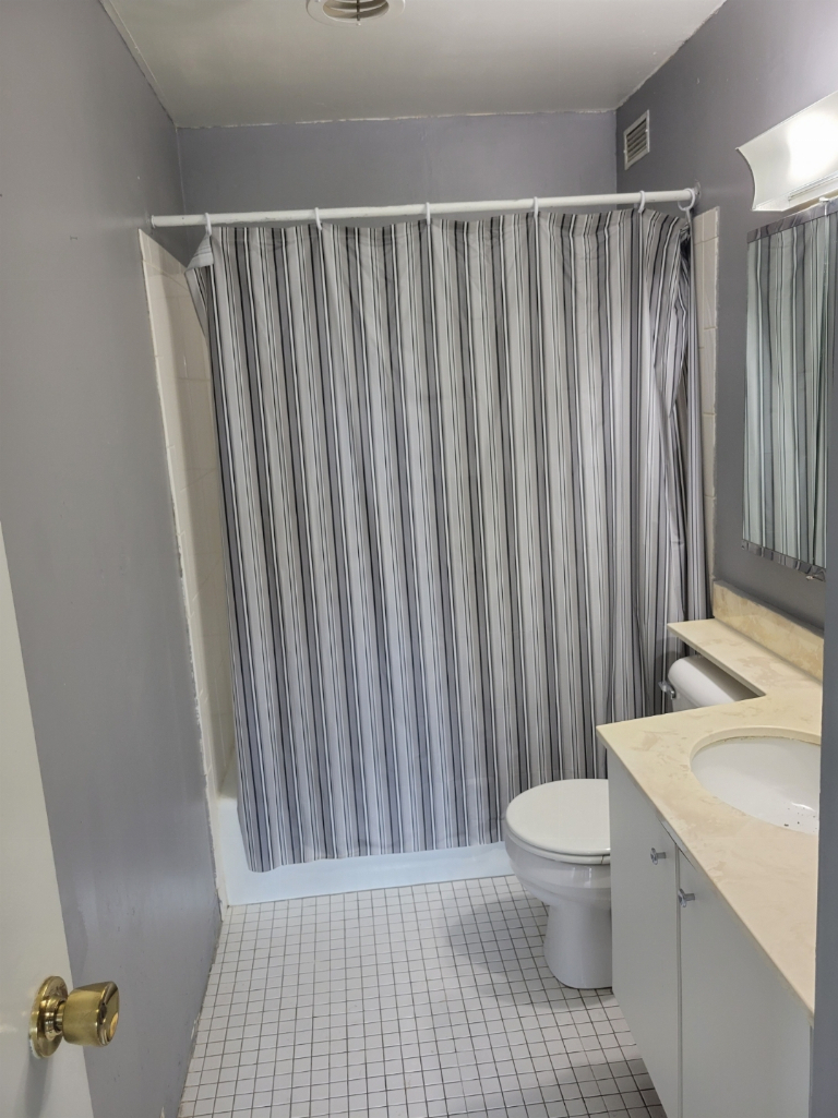 5415 North Sheridan Road, Unit 609 Chicago, IL 60640 - Photo 19 of 25 a bathroom with a sink a toilet and shower curtain