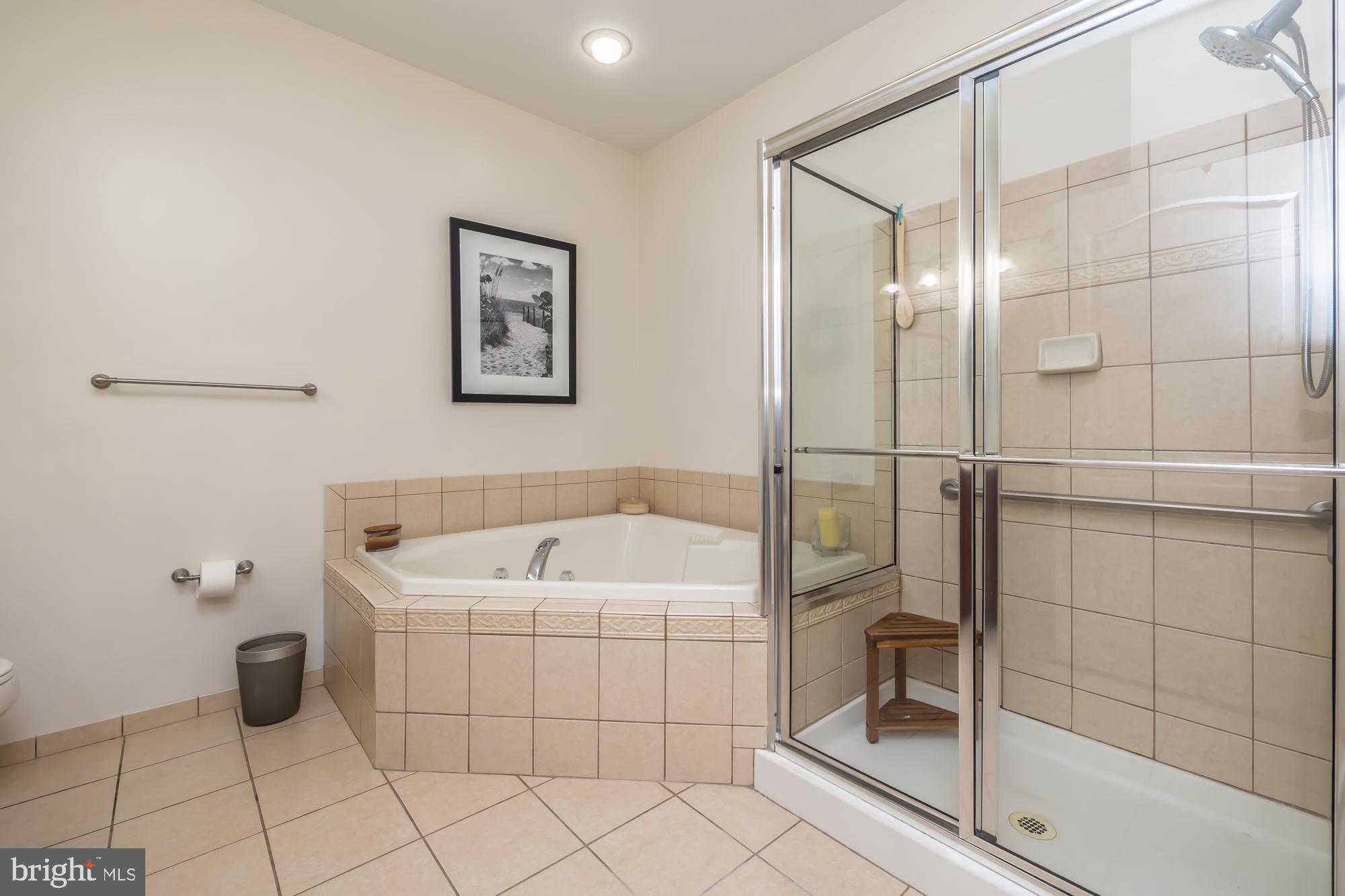1105 Hulnick Road, Unit 43877 Coatesville, PA 19320 - Photo 23 of 38 Primary en-suite bathroom with soaking tube