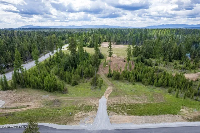 $1,350,000 | Lot10-blk2 Lot10-blk2 Leonard Loop, Athol, ID 83801