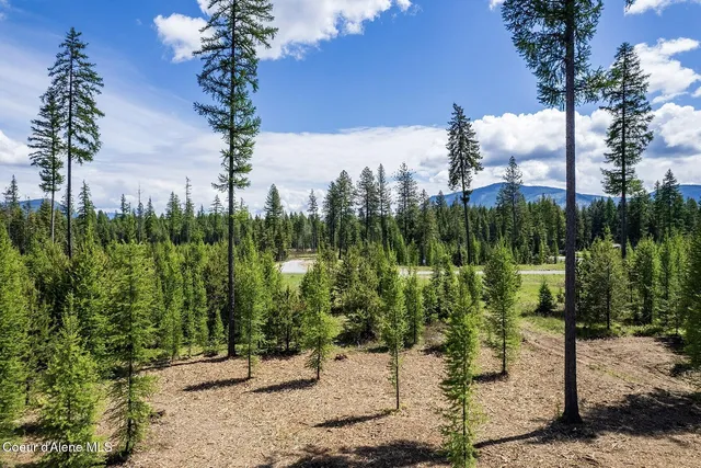 $1,350,000 | Lot10-blk2 Lot10-blk2 Leonard Loop, Athol, ID 83801