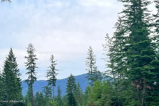 $1,350,000 | Lot10-blk2 Lot10-blk2 Leonard Loop, Athol, ID 83801