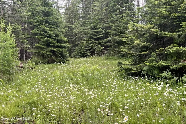 $1,350,000 | Lot10-blk2 Lot10-blk2 Leonard Loop, Athol, ID 83801