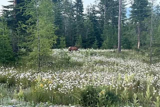 $1,350,000 | Lot10-blk2 Lot10-blk2 Leonard Loop, Athol, ID 83801