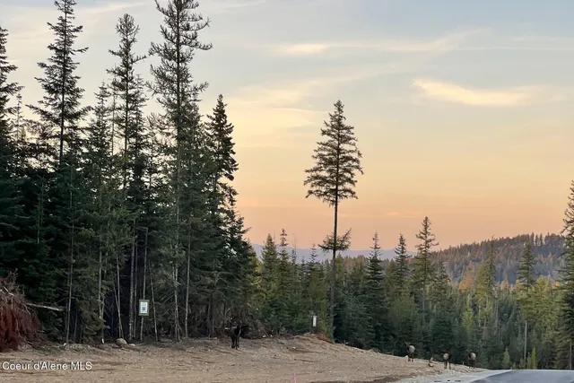$1,350,000 | Lot10-blk2 Lot10-blk2 Leonard Loop, Athol, ID 83801