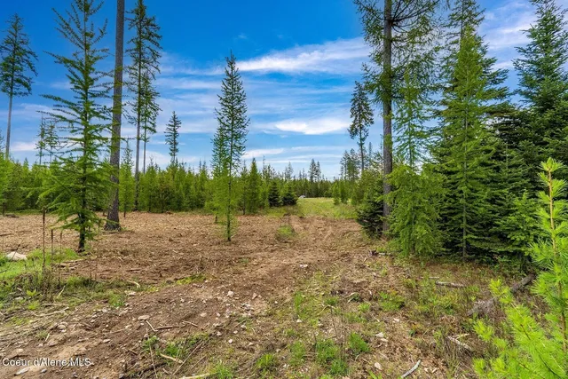 $1,350,000 | Lot10-blk2 Lot10-blk2 Leonard Loop, Athol, ID 83801