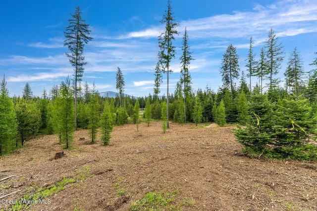 $1,350,000 | Lot10-blk2 Lot10-blk2 Leonard Loop, Athol, ID 83801