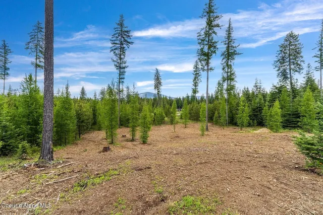 $1,350,000 | Lot10-blk2 Lot10-blk2 Leonard Loop, Athol, ID 83801