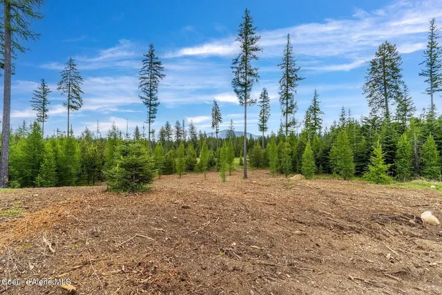 $1,350,000 | Lot10-blk2 Lot10-blk2 Leonard Loop, Athol, ID 83801