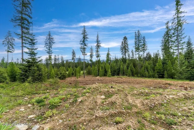 $1,350,000 | Lot10-blk2 Lot10-blk2 Leonard Loop, Athol, ID 83801
