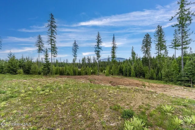$1,350,000 | Lot10-blk2 Lot10-blk2 Leonard Loop, Athol, ID 83801