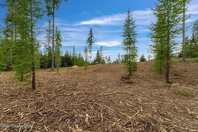 $1,350,000 | Lot10-blk2 Lot10-blk2 Leonard Loop, Athol, ID 83801