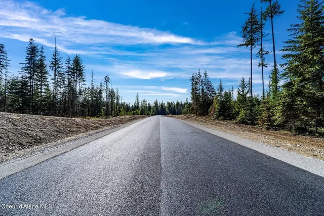 $1,350,000 | Lot10-blk2 Lot10-blk2 Leonard Loop, Athol, ID 83801