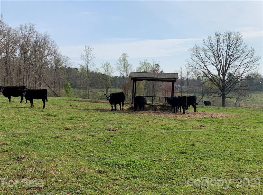 6324 Wade Lowman Road Connelly Springs, NC 28612 - Photo 4 of 7 Gallery Image 4